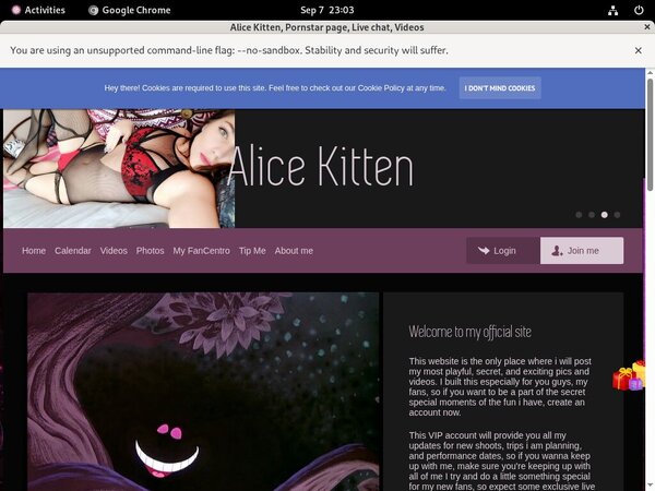 Alice Kitten With Direct Debit