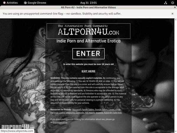 Altporn4u Passcode
