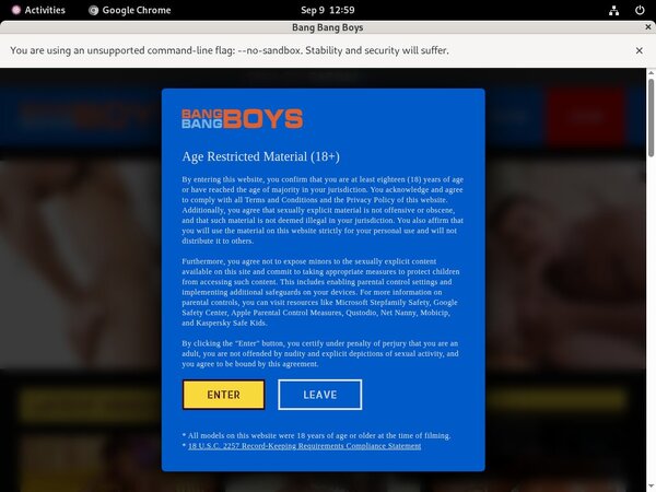 Bangbangboys.com Discount Linkcode