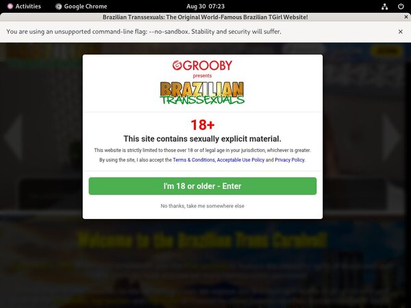 Braziliantranssexuals Free Full Movies