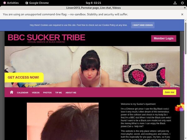 Free Accounts To Linxer2013