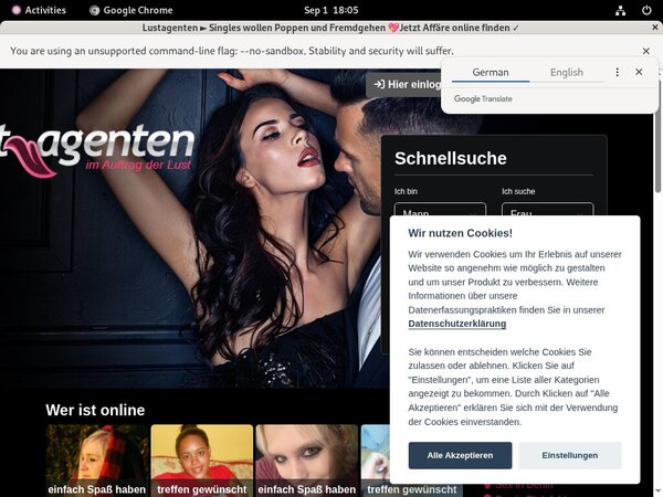 Free Passwords For Lustagenten.com
