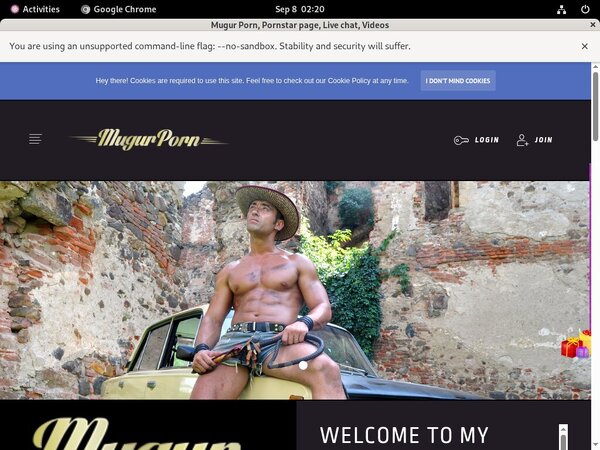 Free Porn Mugur