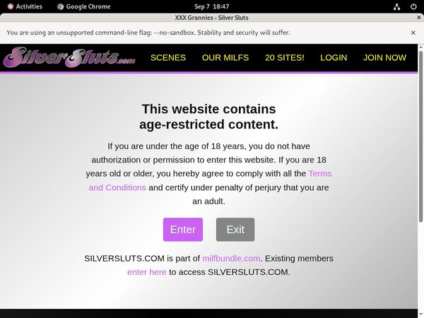 Free Silversluts.com Code
