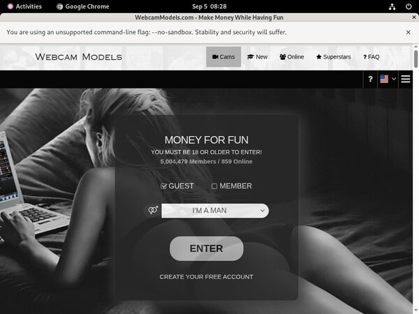 Free Webcam Models Id