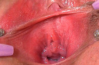 Gapemypussy.com Photos s1