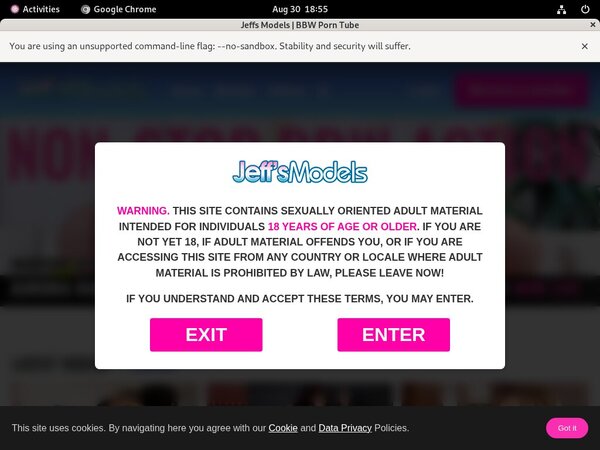 Get Free Jeff's Models Passwords