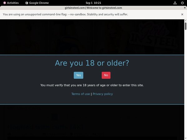 Girls In Steel Descuento