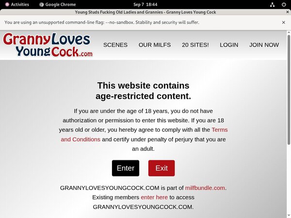 Grannylovesyoungcock.com Full Version