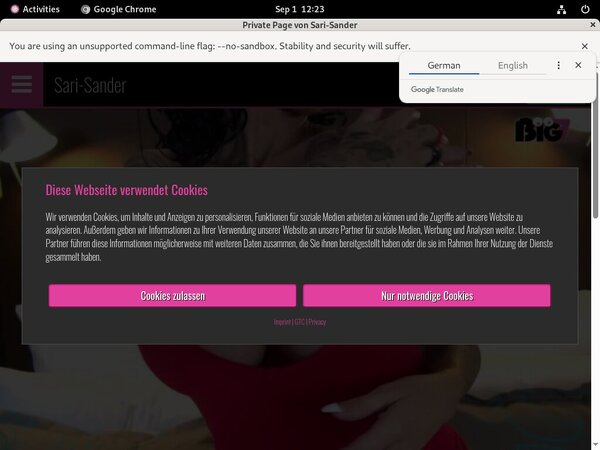 Hd Video Sari Sander