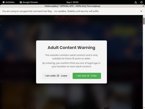 Hello Ladyboy Site Rip Url