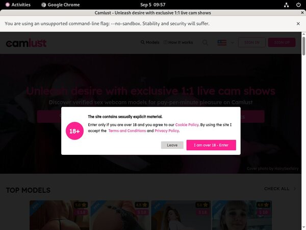 How To Access Cam Lust