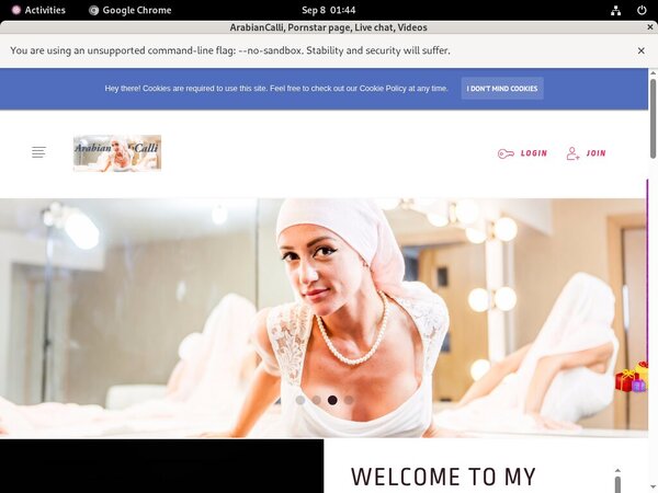 How To Get Free Arabiancalli.modelcentro.com