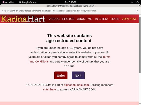 Karinahart Porn Reviews