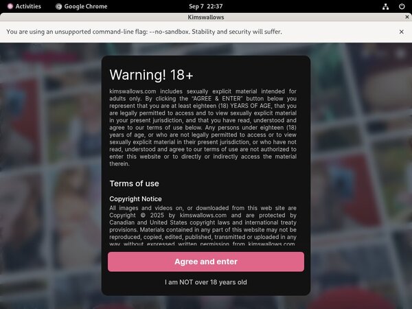 Kimswallows Discount Paypal