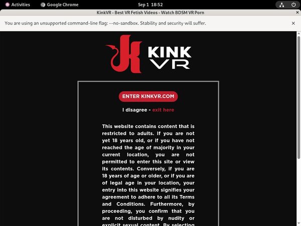 Kinkvr Paypal Account