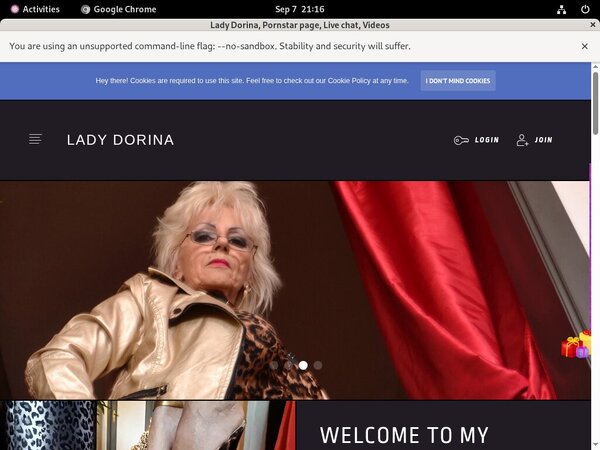 Lady Dorina Customer Support