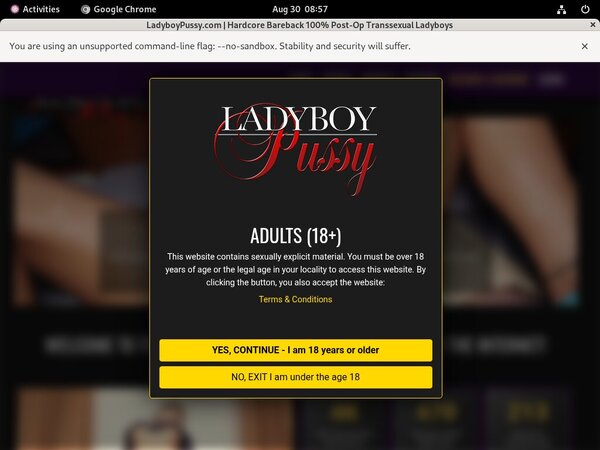 Ladyboypussy With EUDebit