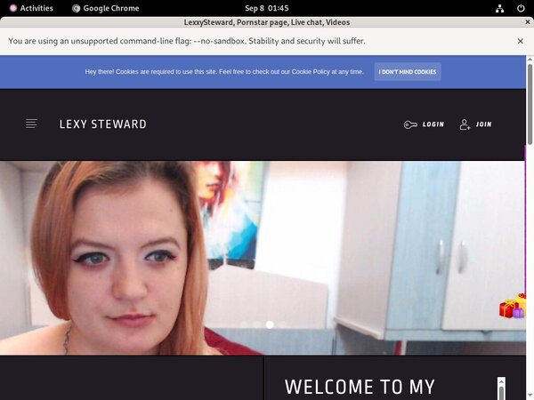 Lexxysteward Network Login