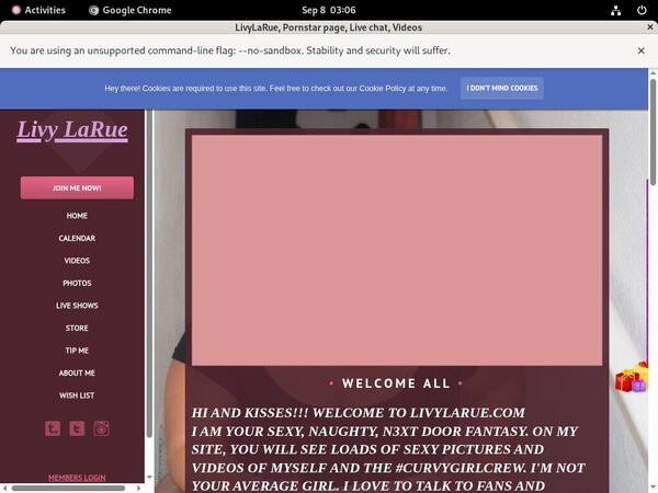 Livylarue.modelcentro.com Hub