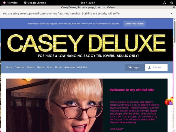 Login For Caseydeluxe.club