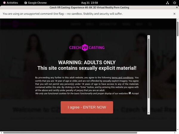 Members Czech VR Casting