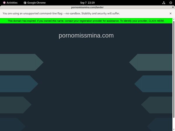 Miss Mina Pornostar With Paysafecard