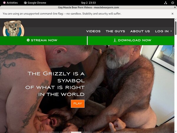 Muscle Bear Porn Cuentas Gratis