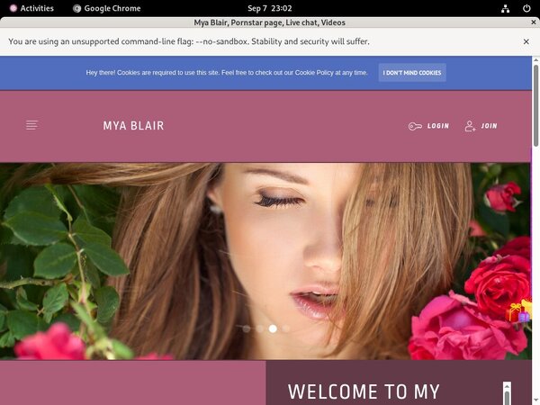 Myablair.modelcentro.com Net