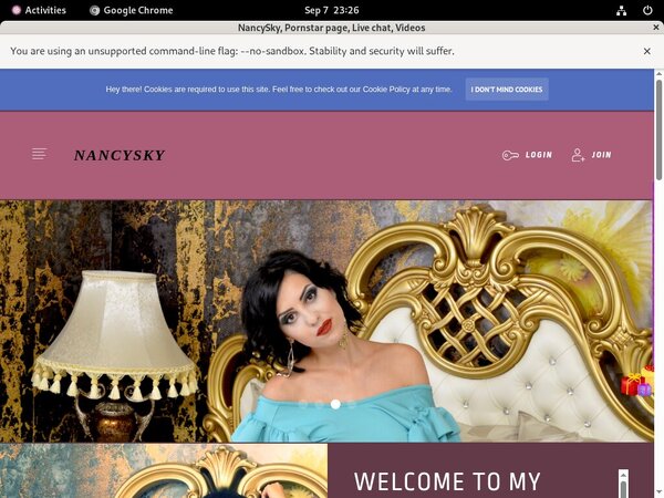 Nancysky.modelcentro.com Mobile Accounts
