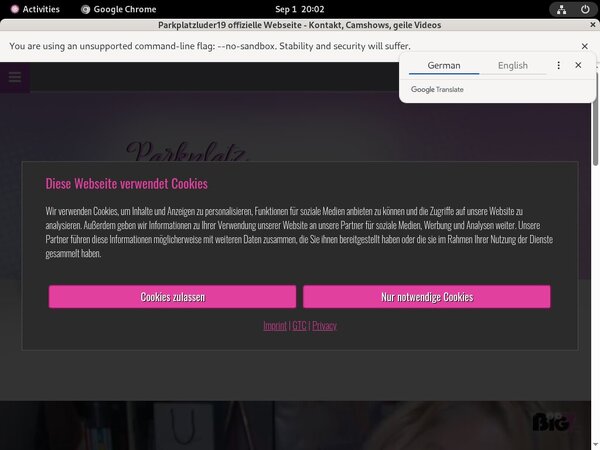 Parkplatzluder19 Porn Passwords