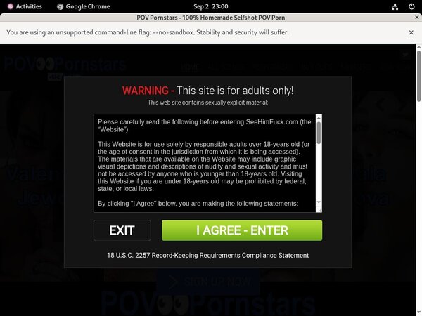 Povpornstars With IBAN / BIC Code