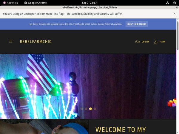 Rebelfarmchic.modelcentro.com Discount Deals