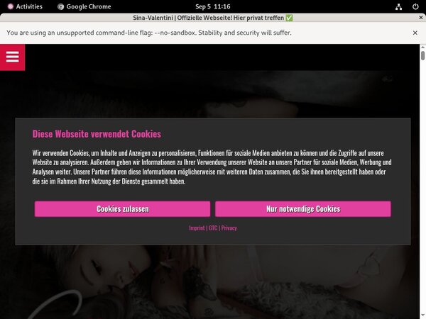 Sina Valentini Active Password