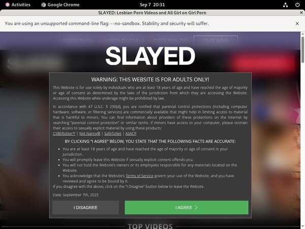 Slayed Free Password