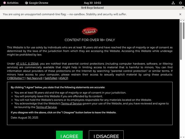 Str8boyzseduced.com Free Access