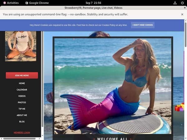 Strawberry19 Epoch Paypal