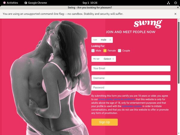 Swing.net Porn Login