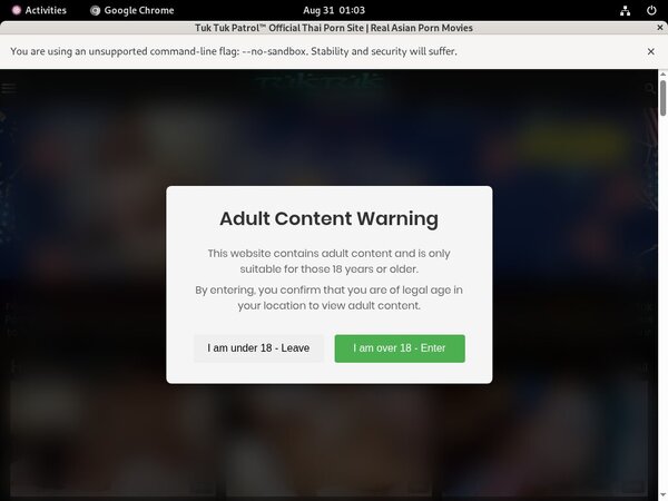 Tuktukpatrol Vendo Page