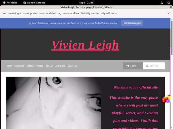 Vivienleighandme.modelcentro.com Discount Link Code