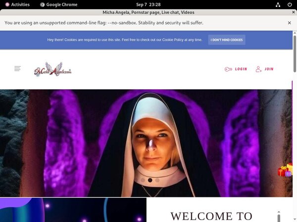 Working Michaangela.com Pass