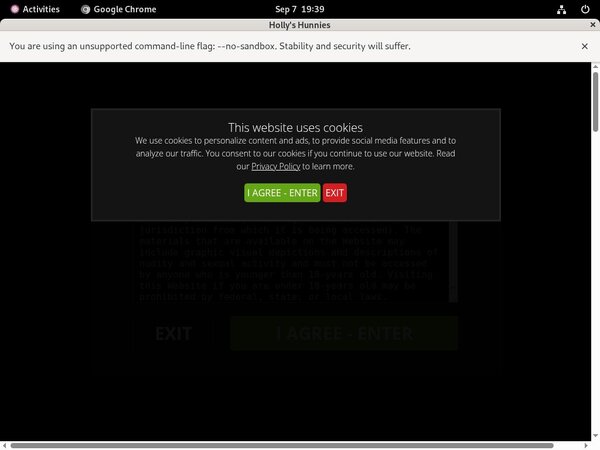 Hunnies Hollys Discount Code