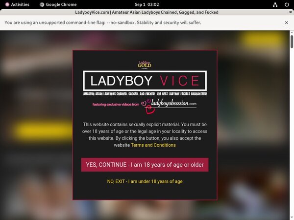 Ladyboy Vice Promotion Ladyboy Vice Promotion