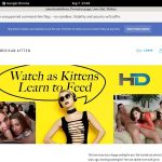 Americankittens Trial Videos