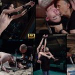 Discount Codes Subspaceland