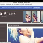 Login To BaddBirdie Free